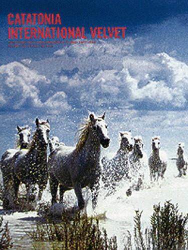 International Velvet